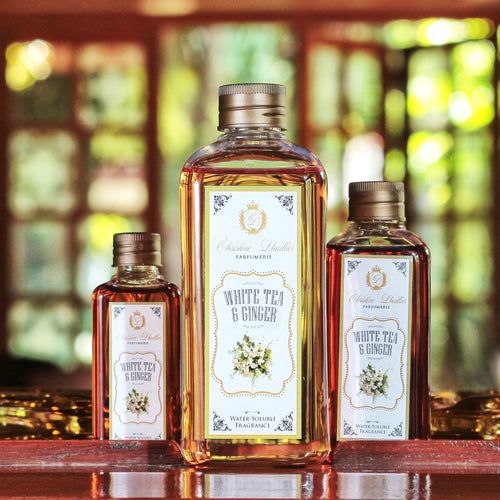 Water Soluble Oil White Tea & Ginger