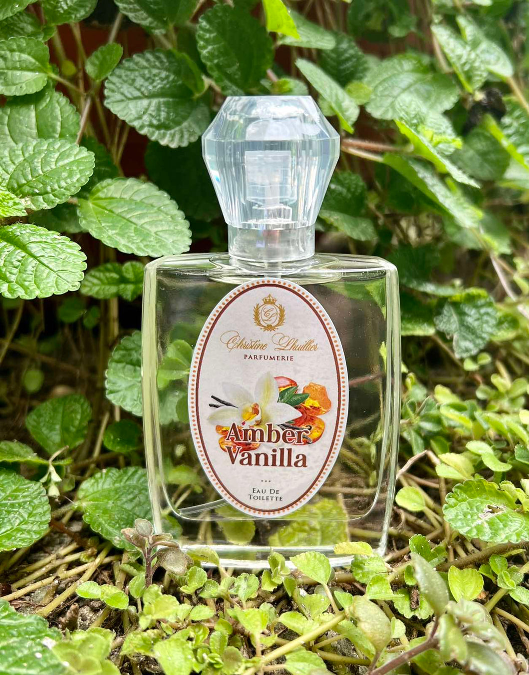 Eau de Toilette Amber Vanilla