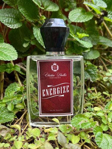 Eau de Toilette Energize